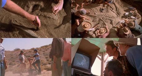 10 cosas que probablemente no sabías de: la paleontología y los paleontólogos