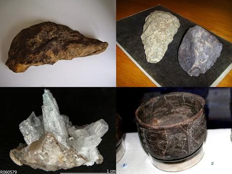 10 cosas que probablemente no sabías de: la paleontología y los paleontólogos