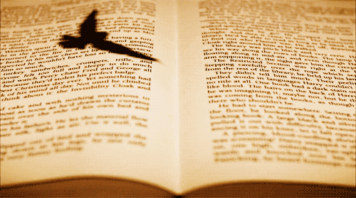 Favoritos del mes de Febrero!