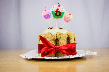 #doggiestories: #perrilover celebra con nosotros el perricumple de Maikel