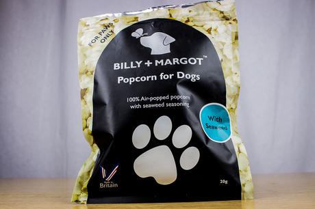 #doggiestories: #perrilover celebra con nosotros el perricumple de Maikel