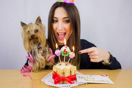 #doggiestories: #perrilover celebra con nosotros el perricumple de Maikel