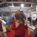 Crónica Salón Inmersión 2015 Crónica Salón Inmersión 2015