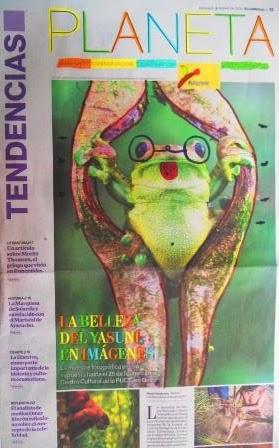 Intervención de imágenes ( Tercera parte )