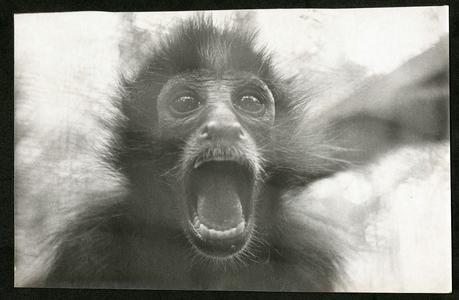 Siempre nos quedarán los blogs Siempre nos quedarán los blogs