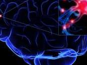 virus activan cerebro humano