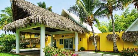 El mejor transporte del mundo