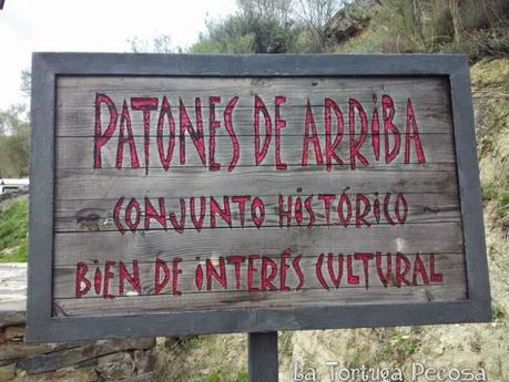 PATONES DE ARRIBA