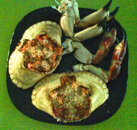 CONSEJOS PARA COCINAR MARISCOS