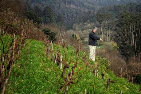 Vino Ribeiras de Armea 2011