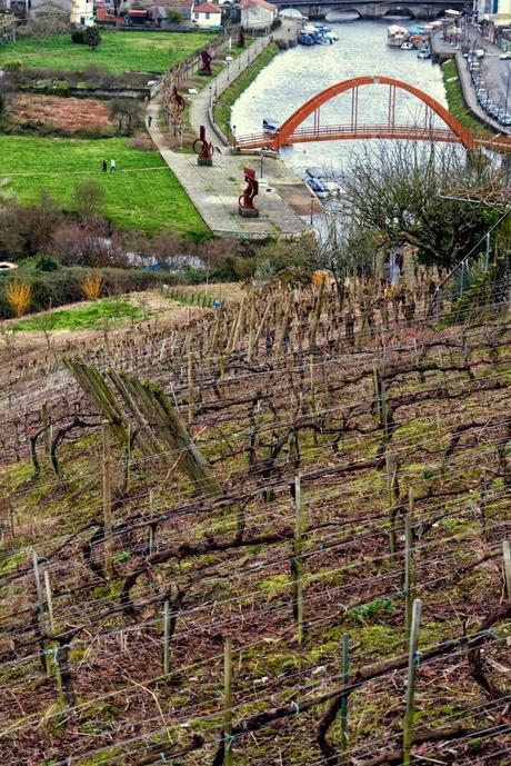 Vino Ribeiras de Armea 2011