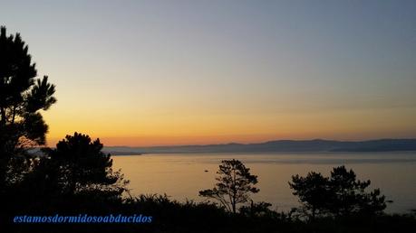 El hábito de los 50 largos.