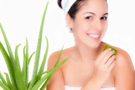 Entérate de los Beneficios Mágicos de la Sabila para la Piel