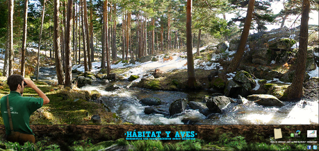 Juego de Reconocimiento de Hábitats de SEO/BirdLife