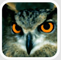 Aves de España. App de SEO BirdLife para conocer las aves de España.