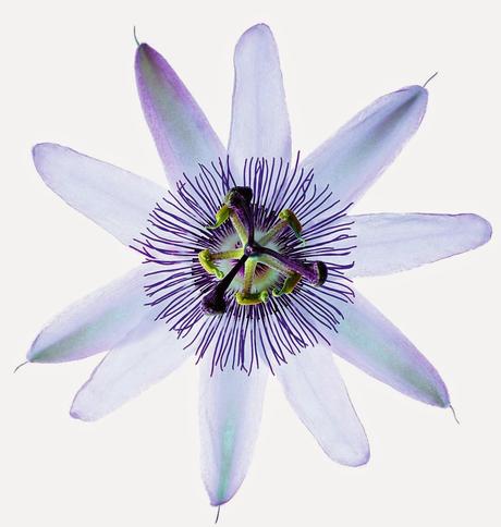 3 Cosméticos Efecto Piel Radiante, Desde la Noche al Día