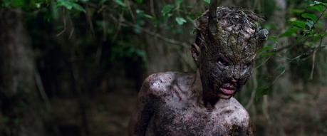 CUB (JONAS GOVAERTS, 2014) #MUESTRASYFY