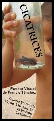 Cicatrices  Francis Sánchez