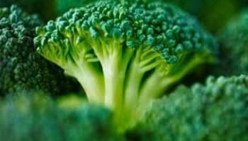 Brócoli, el escudo de la próstata brocoli