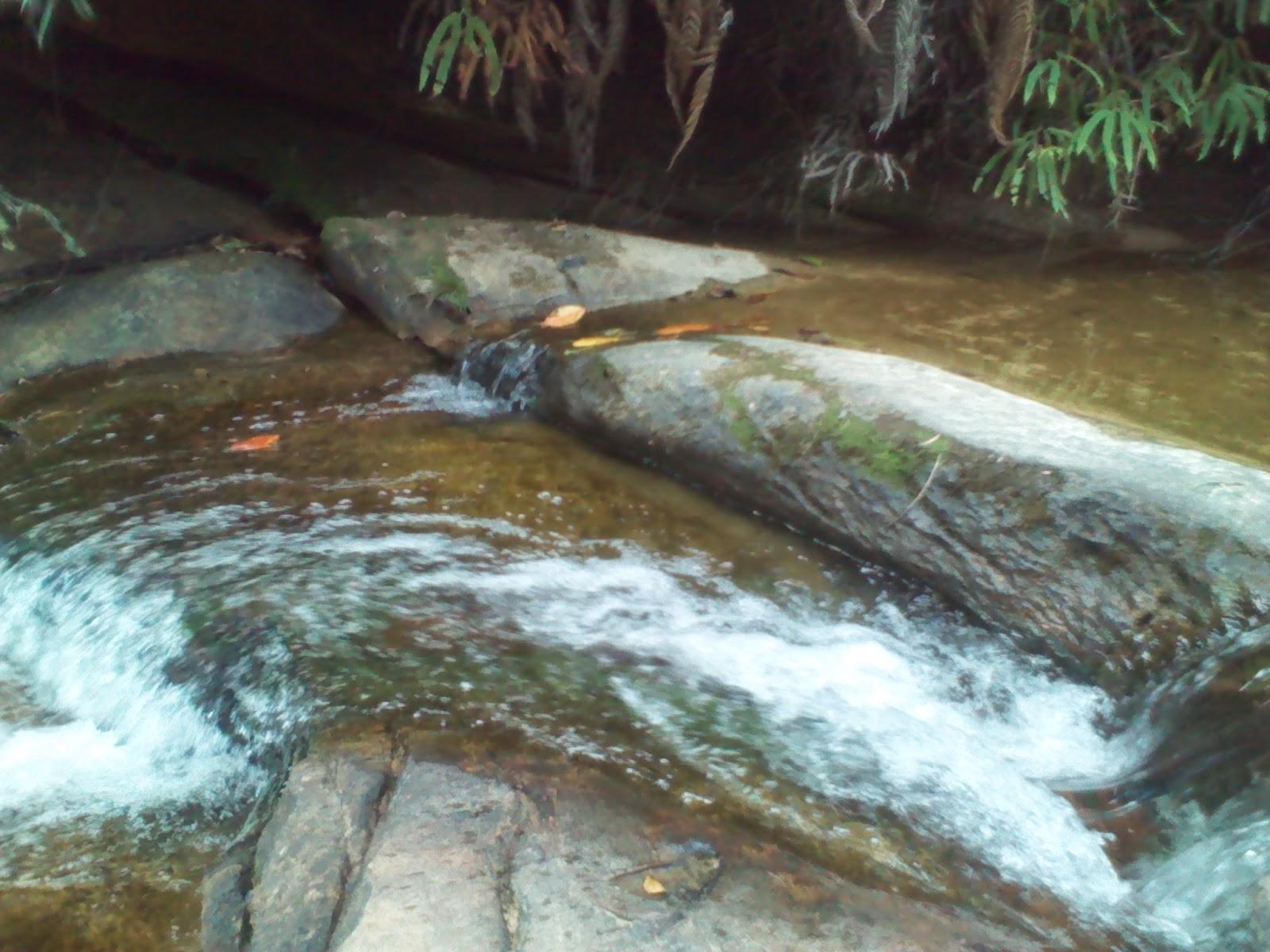 Primer Recorrido en campo de la Comunidad de Aprendizaje ...