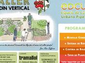 Taller Jardinería Vertical.