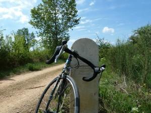 1533825_635454079862479_5327914110441020708_n