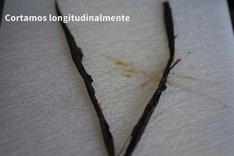 16738003676 f80f263ed9 Drácula Deconstruido