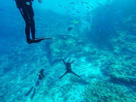 Composición caótica de inmersión