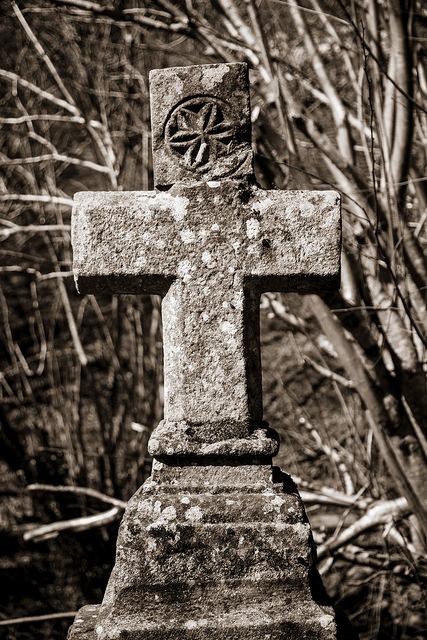 Parque de Valvanuz, Selaya