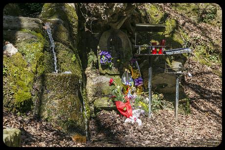 Parque de Valvanuz, Selaya