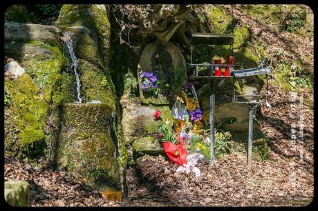 Parque de Valvanuz: El robledal
