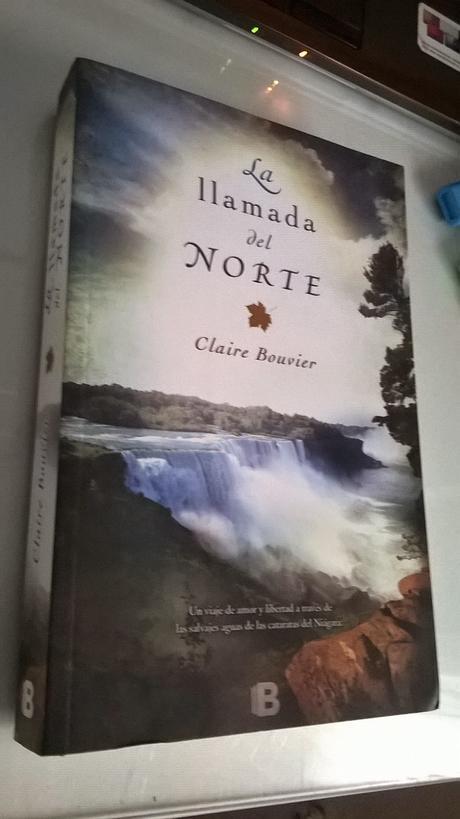 Mis peores lecturas de 2014