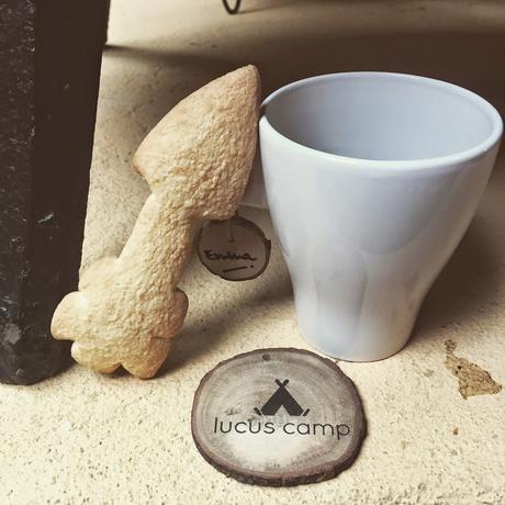 Lucus Camp 2 Una experiencia para repetir, tripitir, y lo que venga...