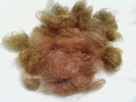 Cómo conseguir que crezca el pelo. II parte.