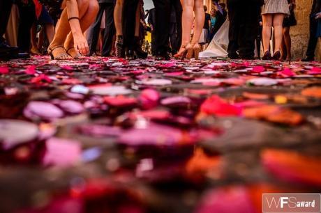 Petals Comodoos Interiores