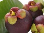 Garcinia mangostana, fruta asiática actualidad.