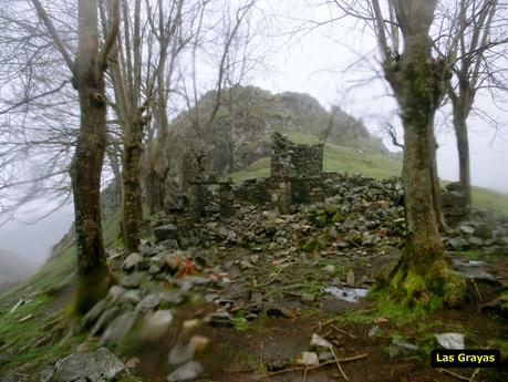 Palaciu-Cuerres de Llenín-Ardisana