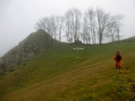 Palaciu-Cuerres de Llenín-Ardisana