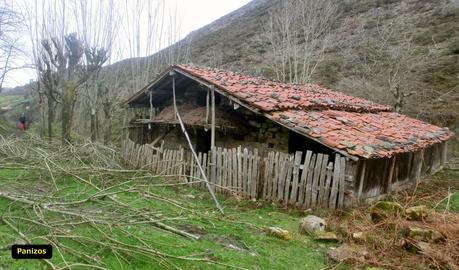 Palaciu-Cuerres de Llenín-Ardisana