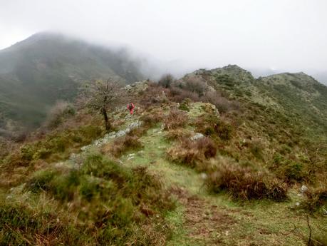 Palaciu-Cuerres de Llenín-Ardisana