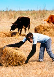 Alimentar el mundo, cuidar el planeta