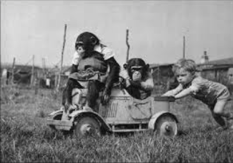 La salud a “empujoncitos” La salud a “empujoncitos”