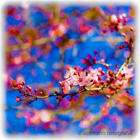 piedrecitas al universo