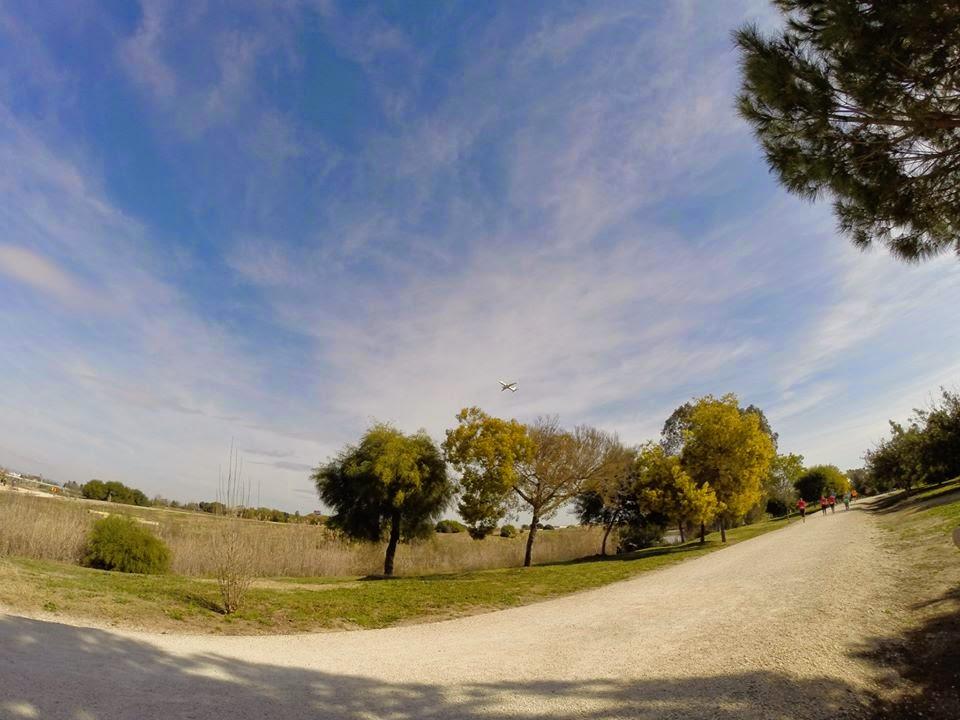 IV Carrera Popular Parque del Tamarguillo
