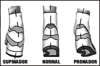 Aspectos básicos en los pies del corredor