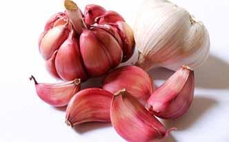 Alimentos saludables para sentirte genial