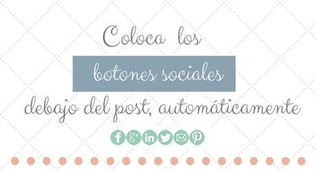 redes sociales follow debajo del post