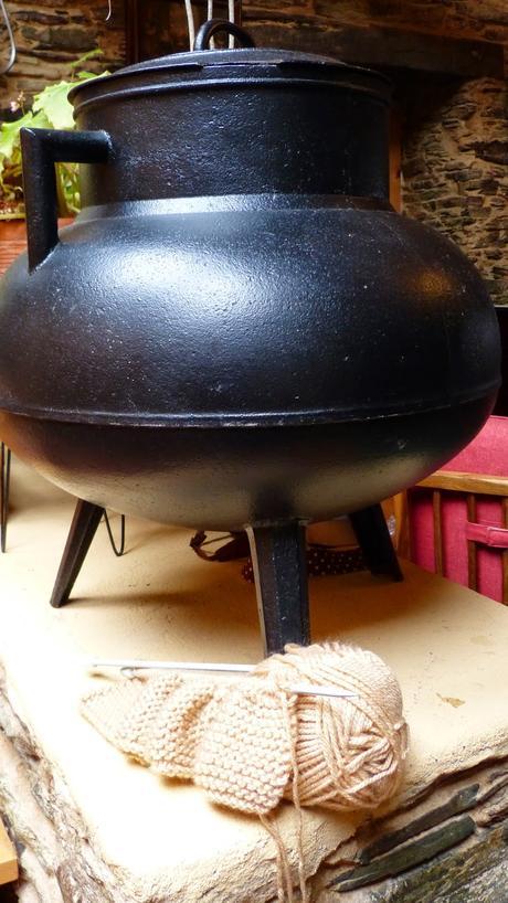 LUCUS CAMP II: ASI LO VIVÍ LUCUS CAMP II: ASI LO VIVÍ