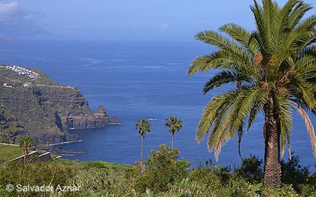 Descubre Tenerife