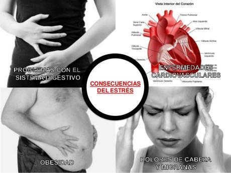 ¿Qué le pasa a tu cuerpo cuando estás estresado? mecanismos-para-afrontar-el-estrs-y-qu-es-el-burnout-3-638